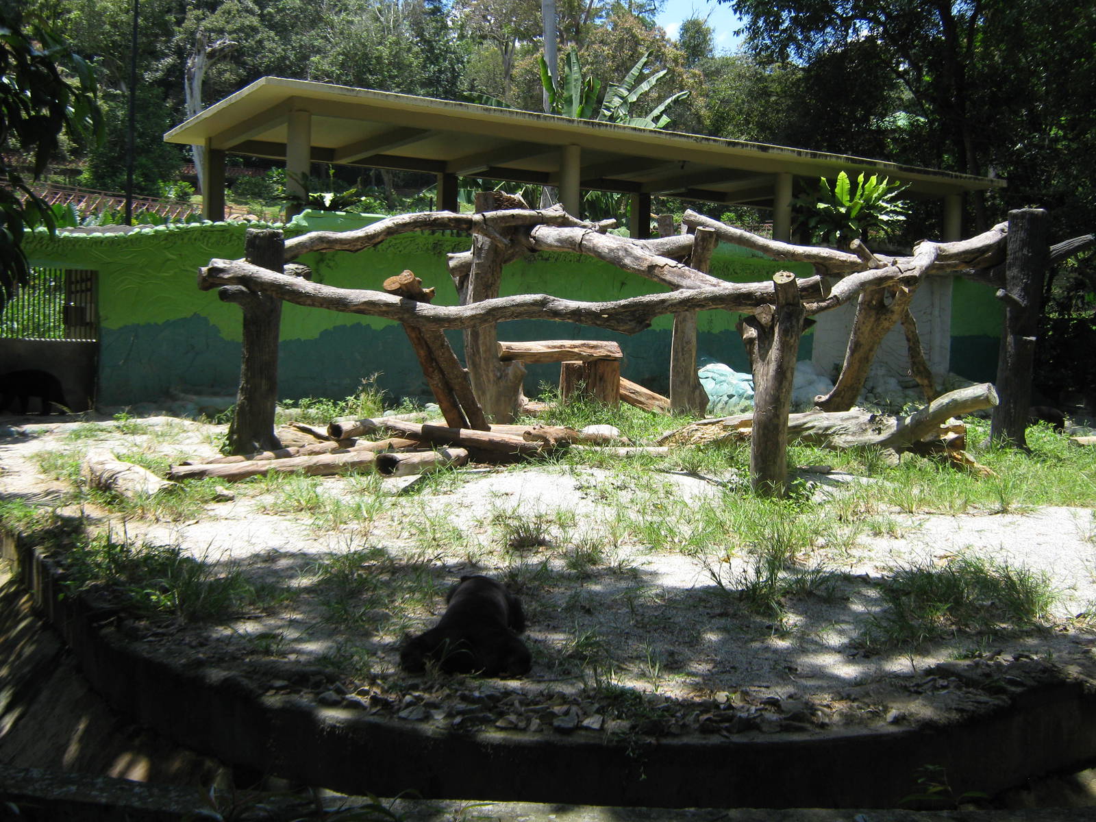 enclosure for sun bears (Ursus malayanus)