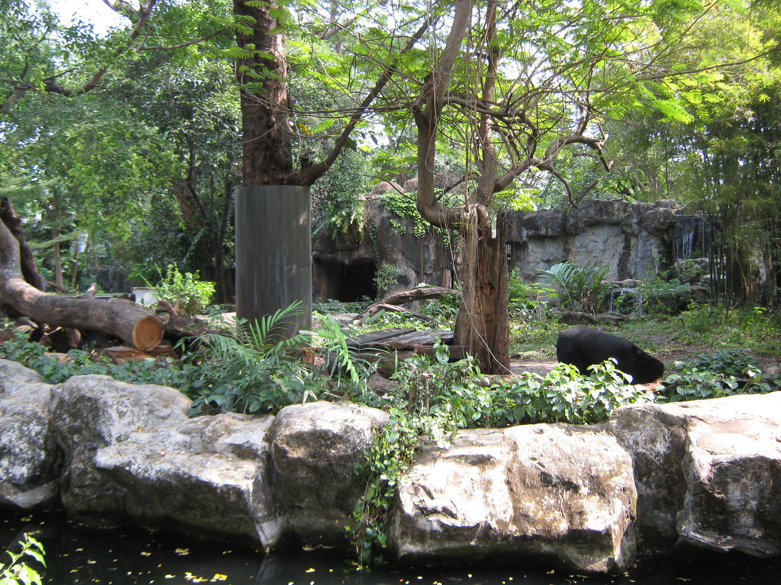 enclosure for sun bears