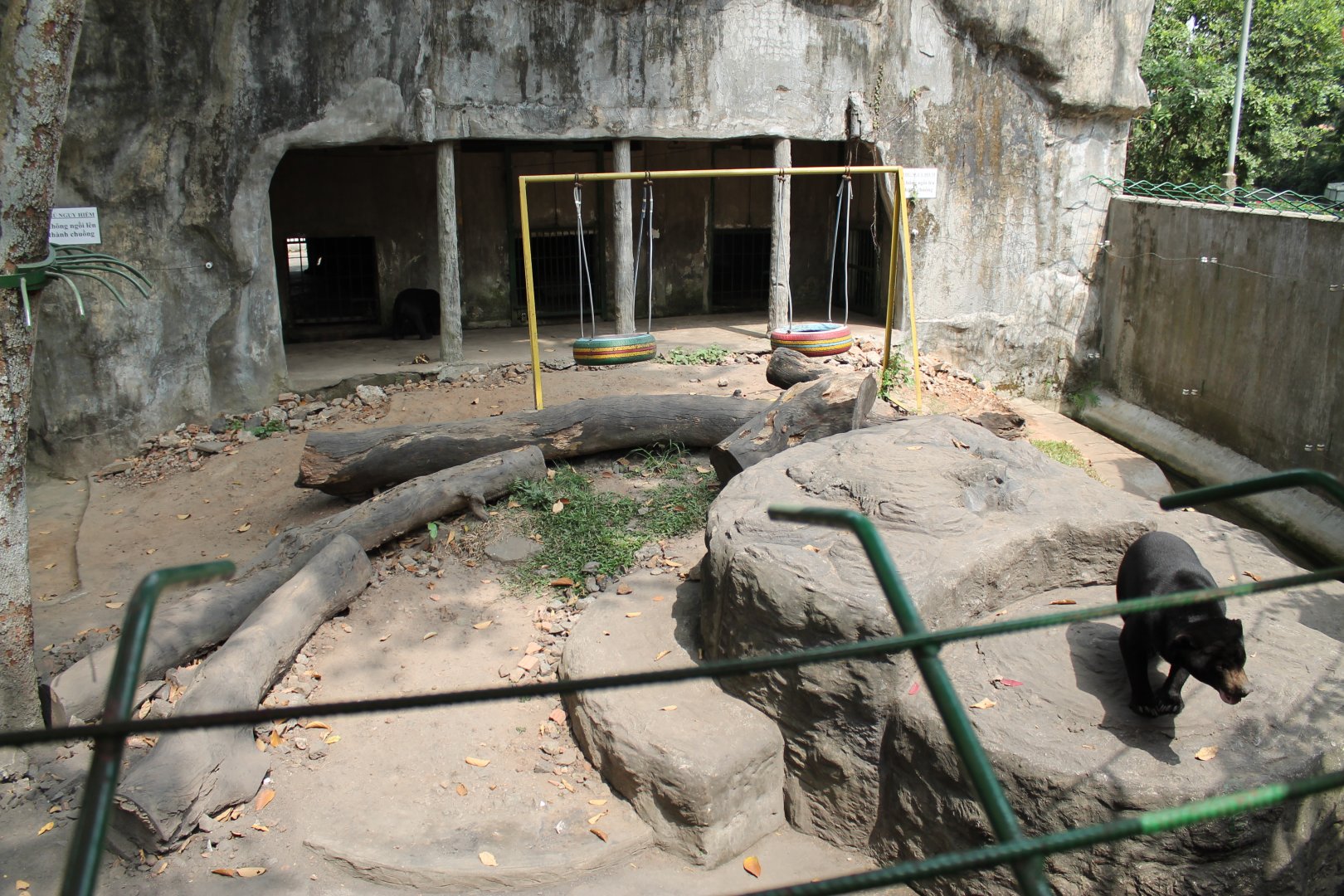 enclosure for Sun Bears