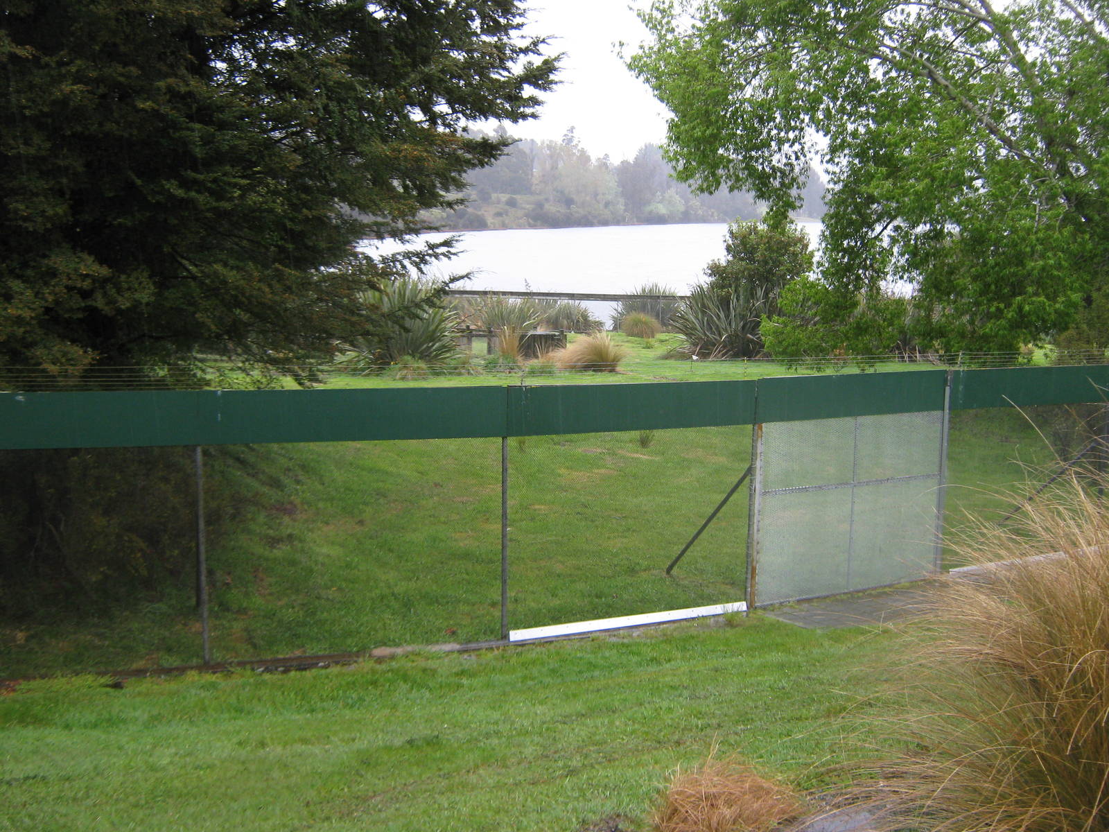 enclosure for takahe (Porphyrio hochstetteri)