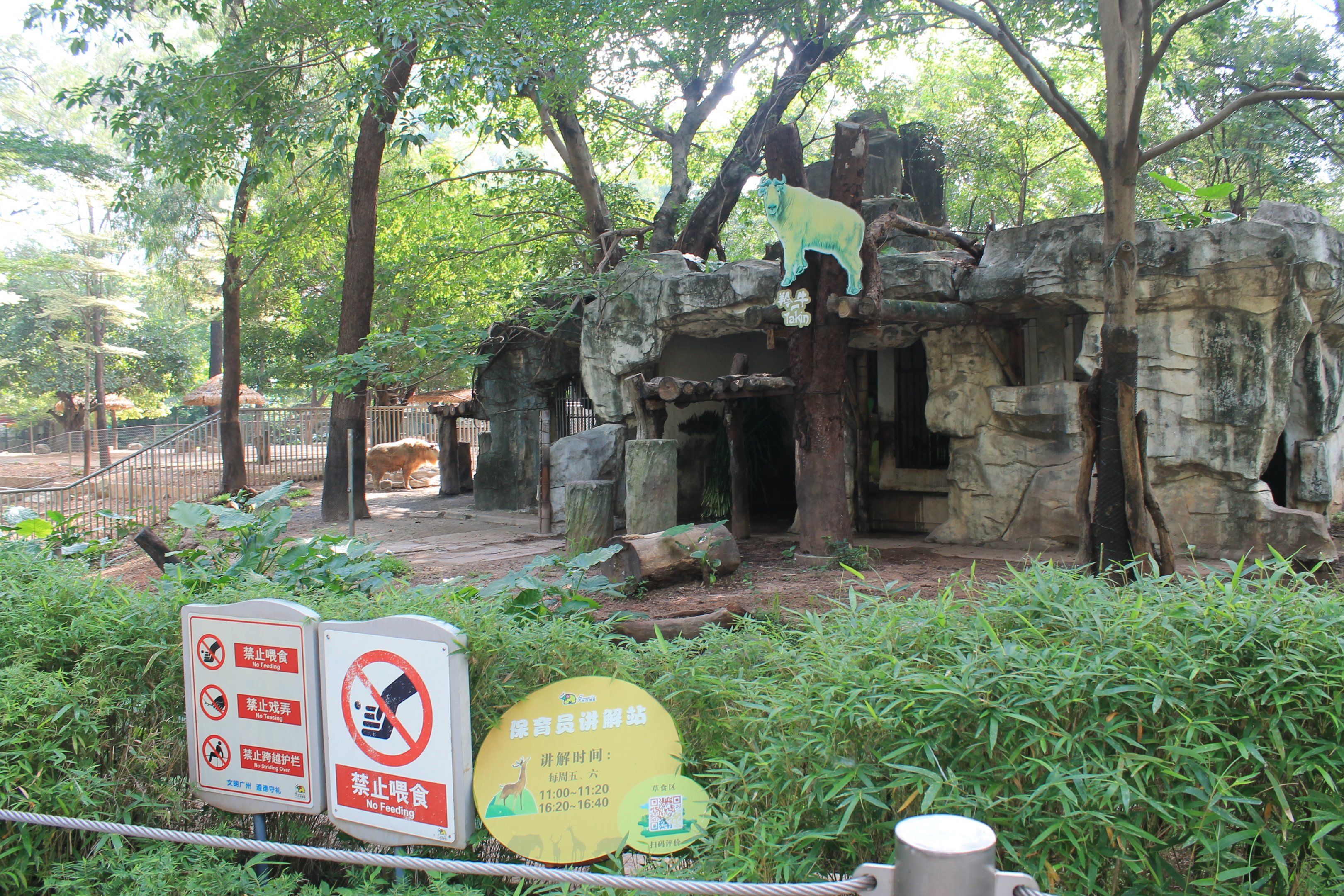 Enclosure for Takin (Budorcus taxicolor)