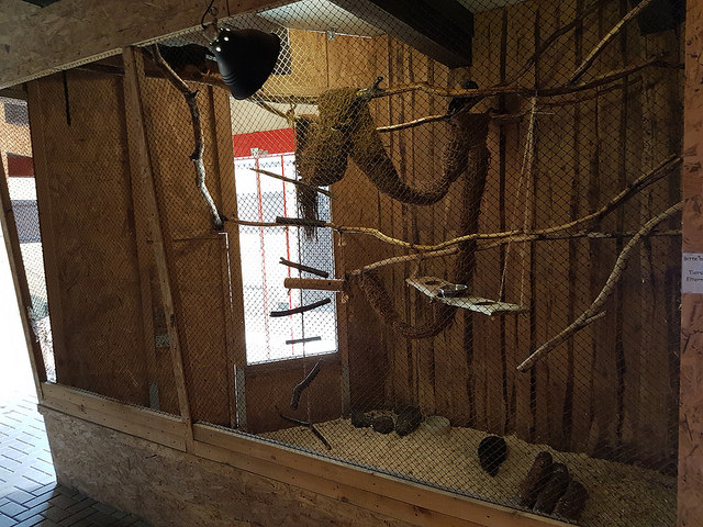 enclosure for tamarins and agoutis