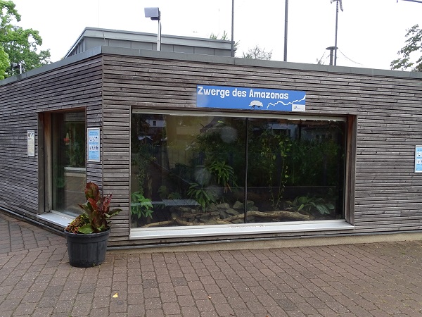 Enclosure for three-banded armadillo (07/22)