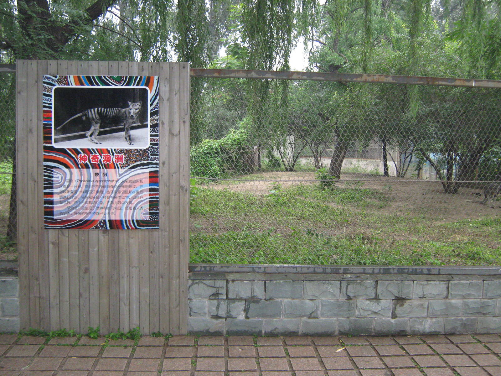 enclosure for thylacines (Thylacinus cynocephalus)