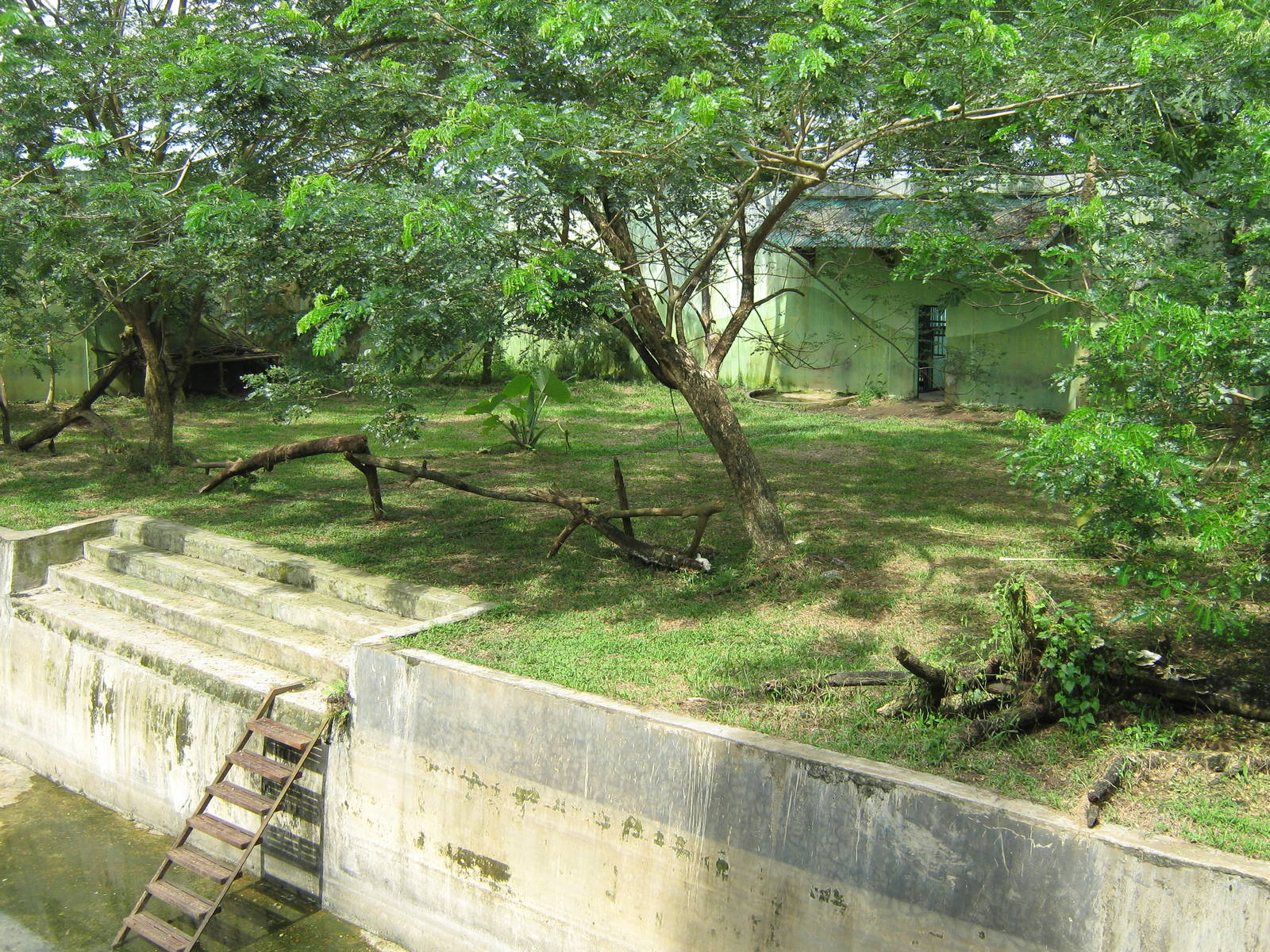 enclosure for tigers?