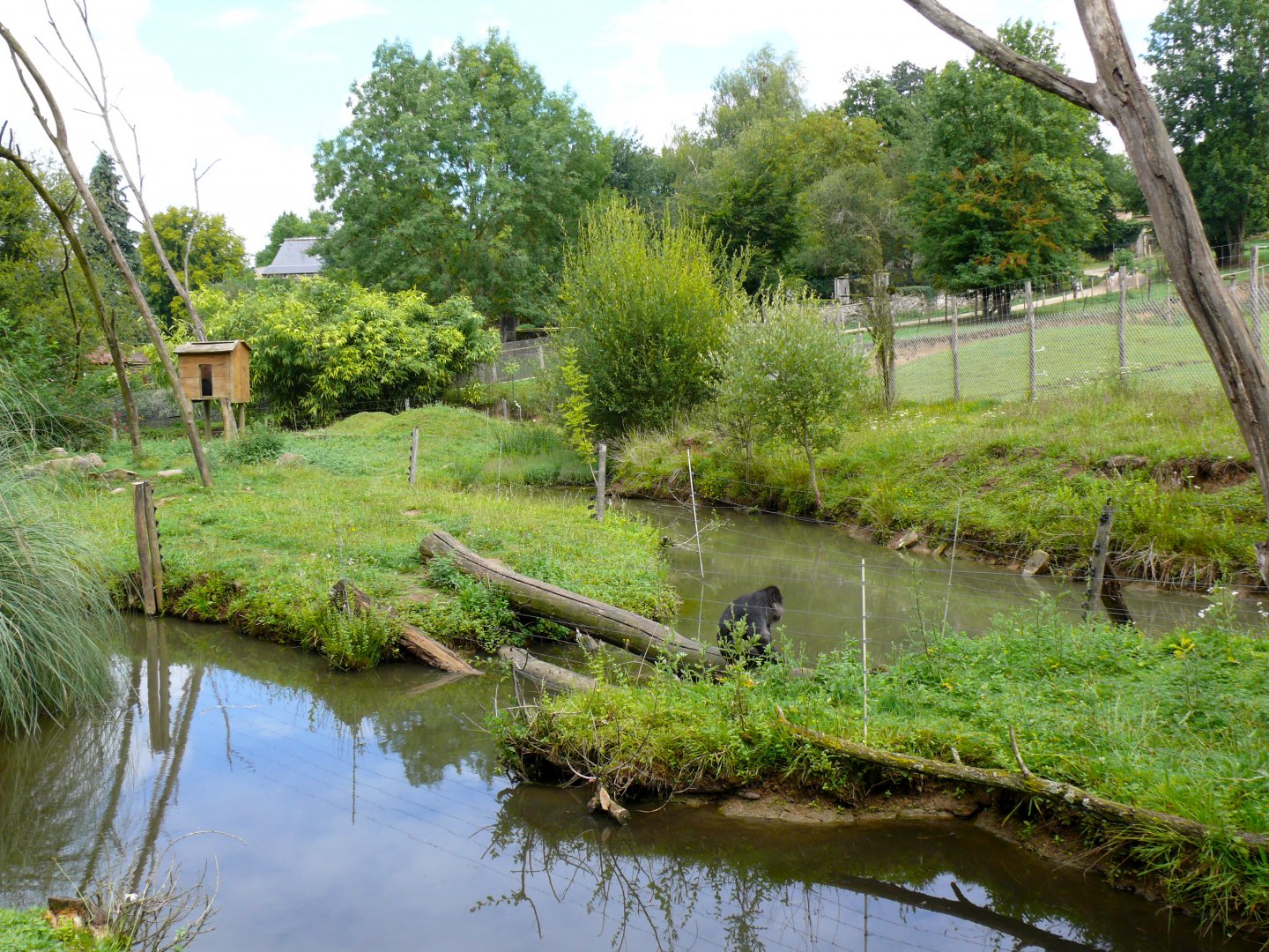 Enclosure for Tonkean Macaque at Parc Zoo Reynou, 2011