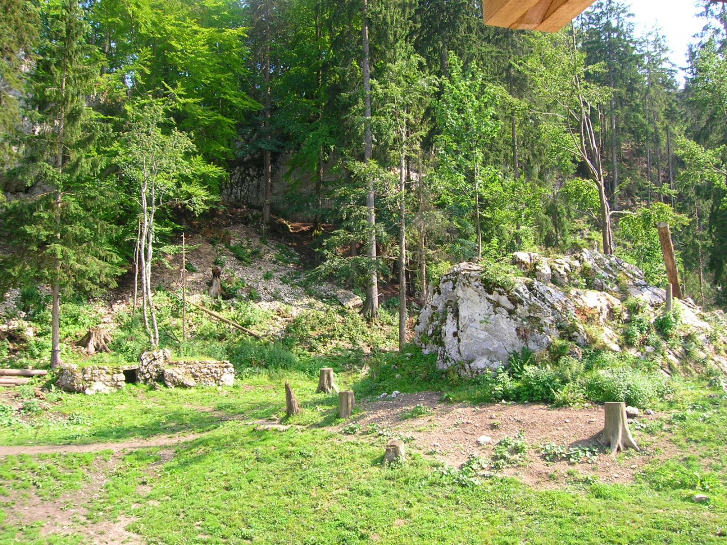 Enclosure for Ursus arctos