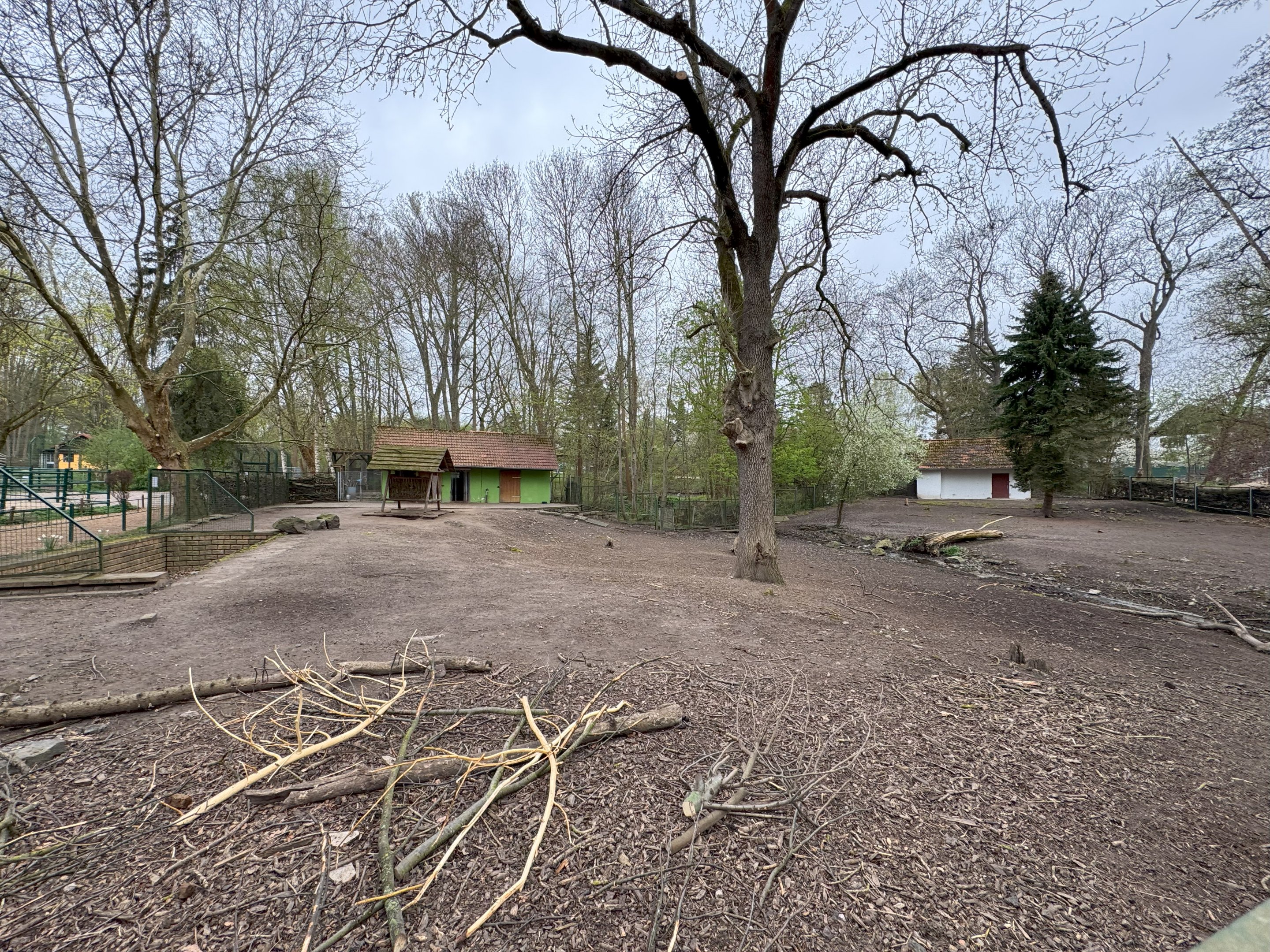 Enclosure for Vietnamese pot-bellied pigs and Axis deer (Axis axis)