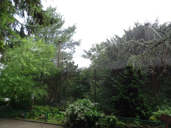 Enclosure for waldrapps and purple swamphens (07/22)