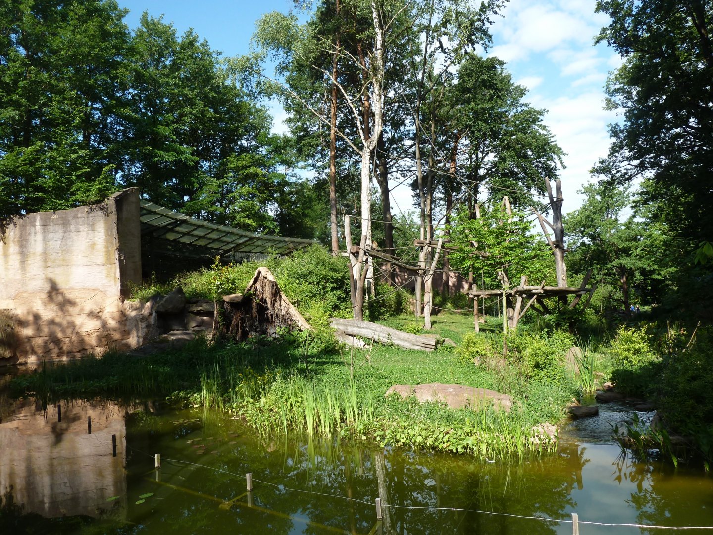 Enclosure for western lowland gorilla and barbary macaque