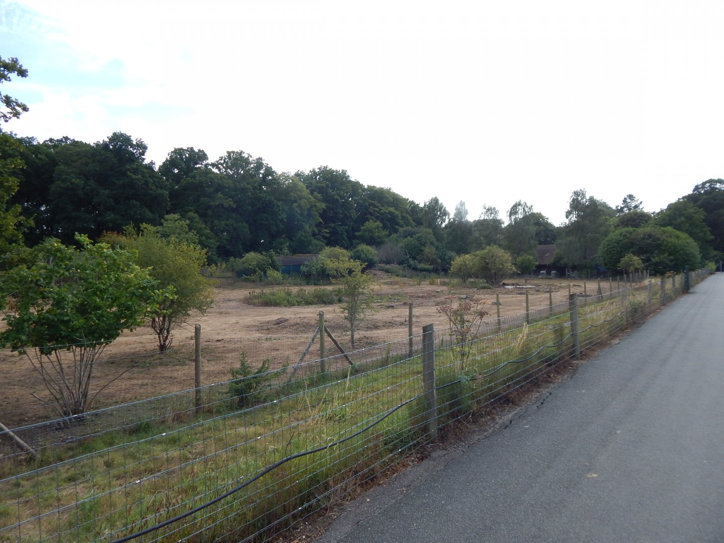Enclosure for Western sitatungas, Red river hogs 150725