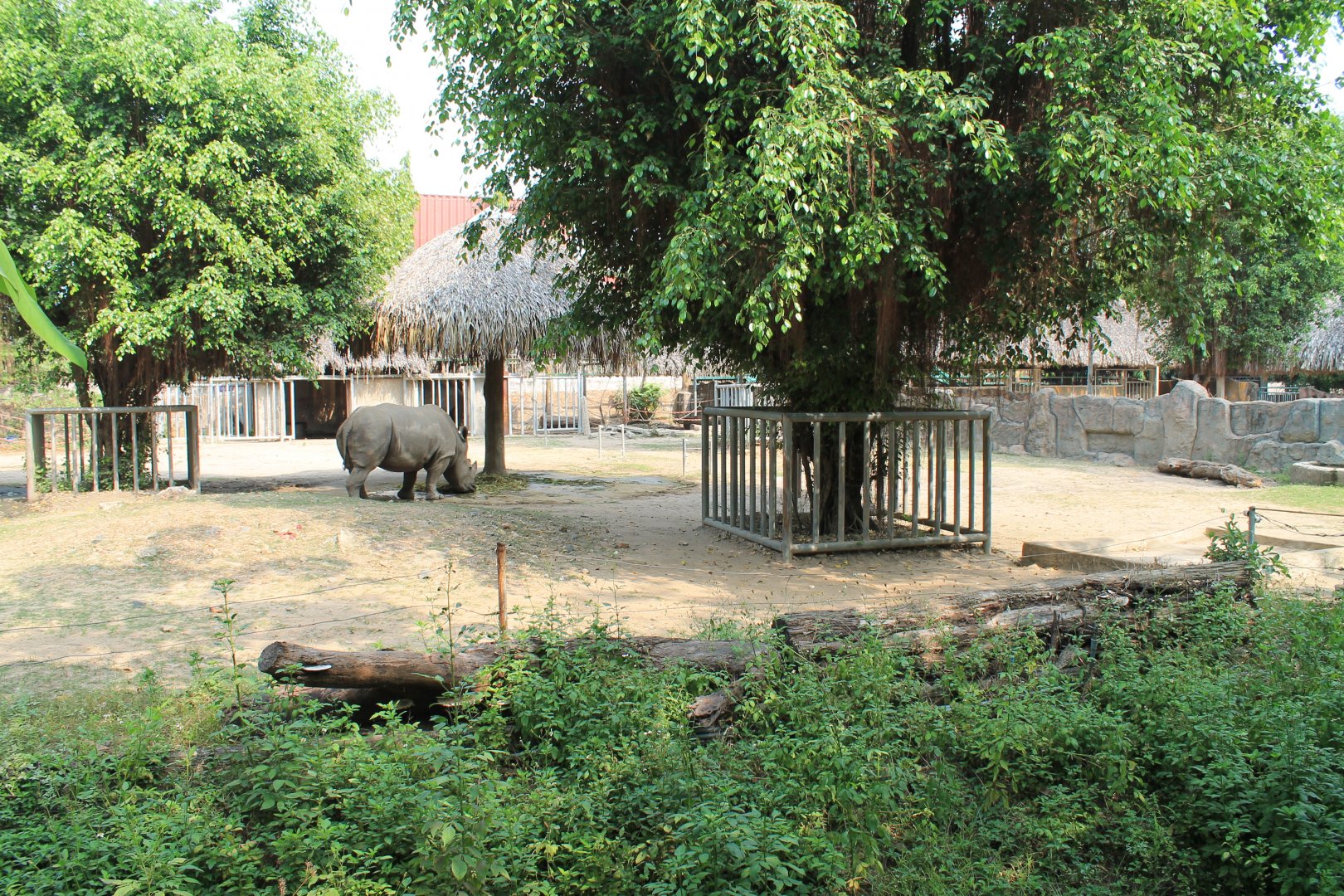 enclosure for White Rhinos