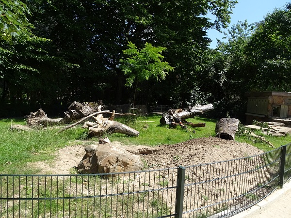 Enclosure for white-tailed porcupines (07/22)