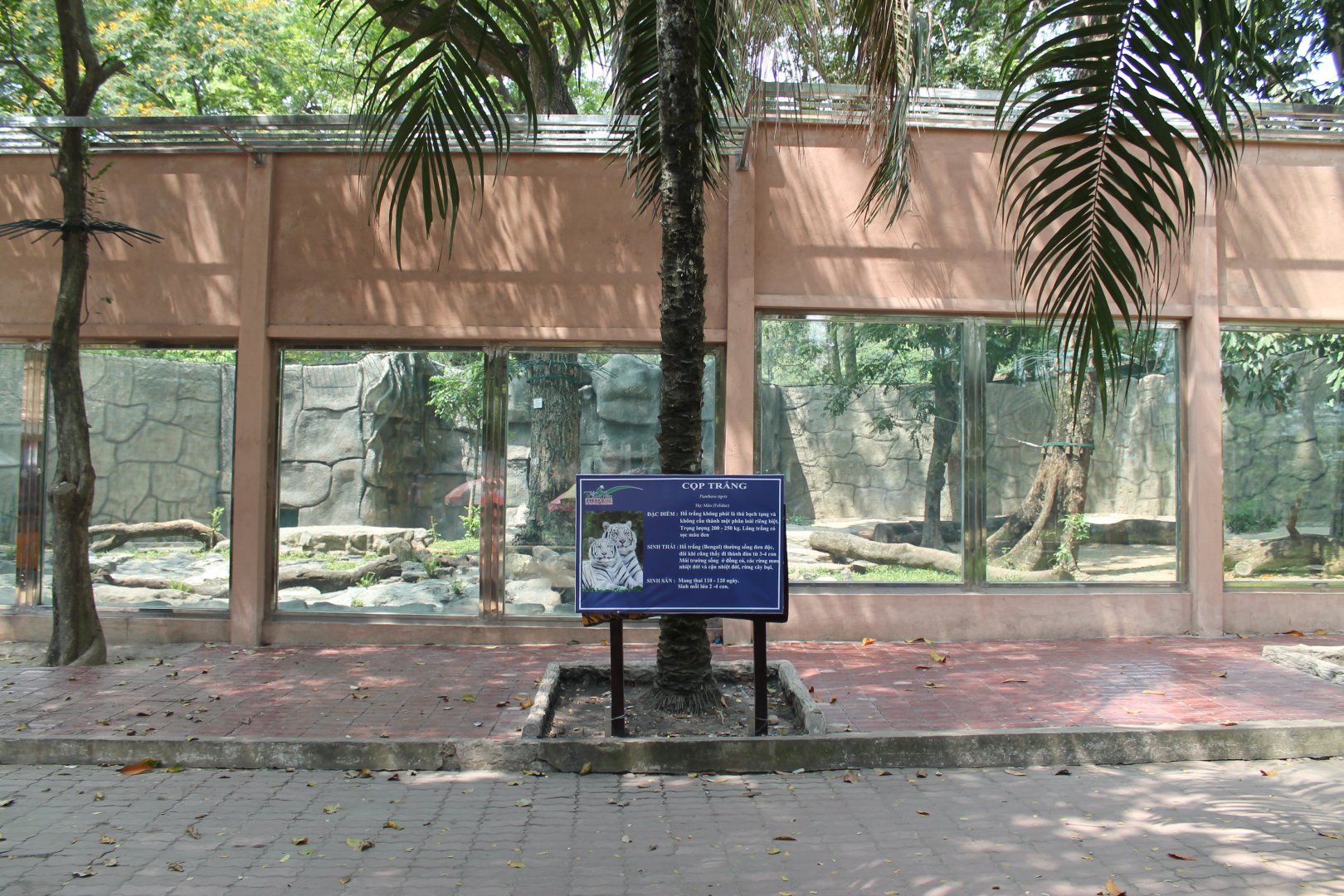 enclosure for white tiger
