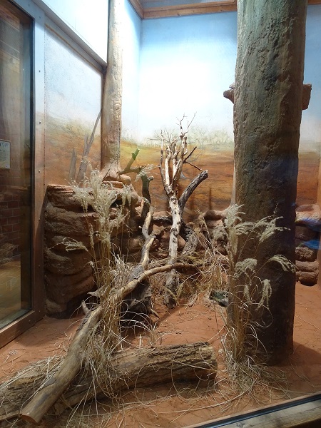 Enclosure for woma (07/22)