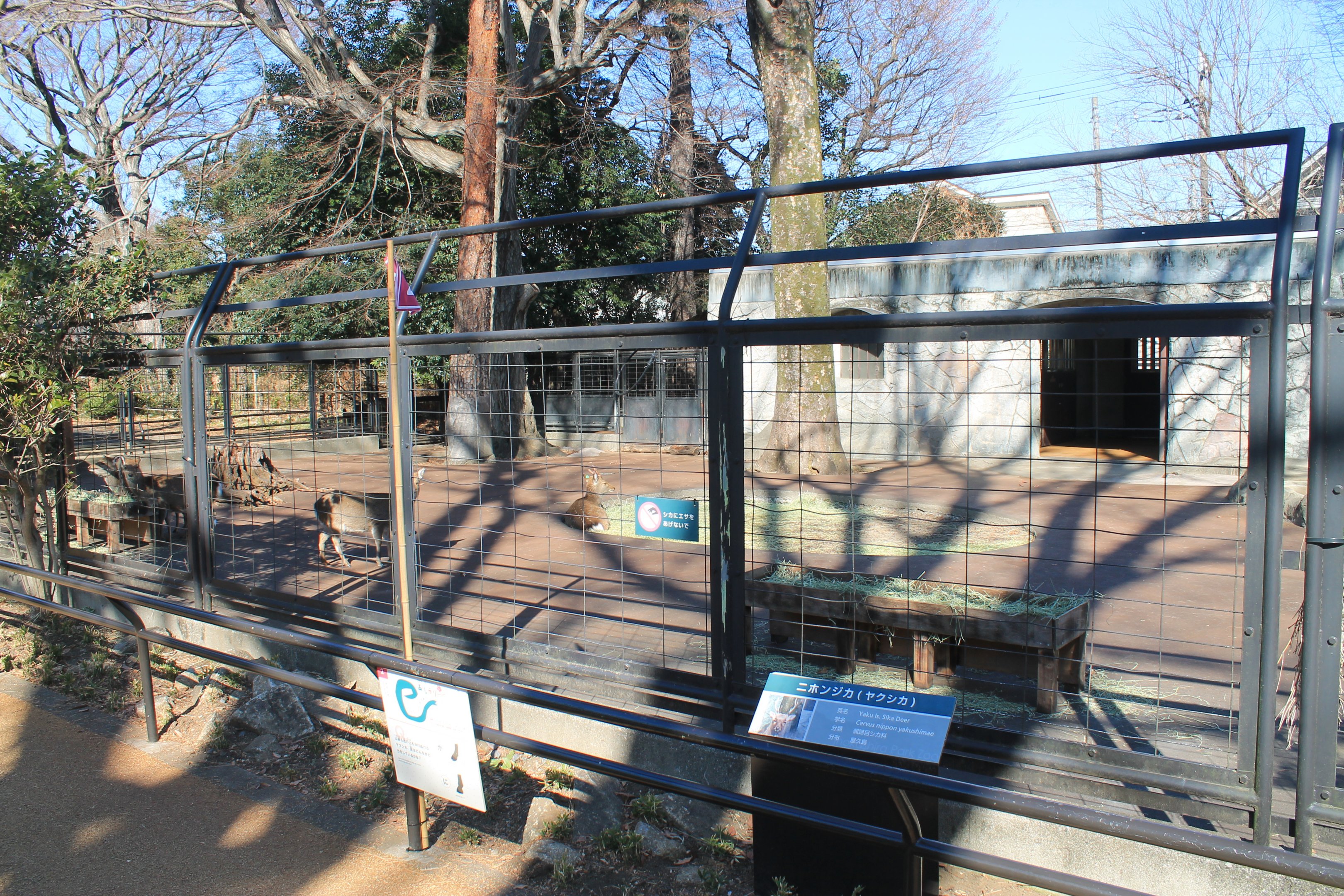 Enclosure for Yakushima Sika Deer