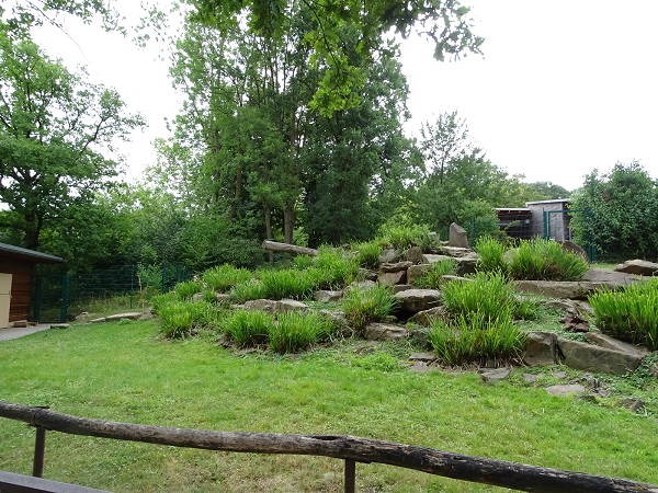 Enclosure for yellow-footed rock wallabies (07/22)