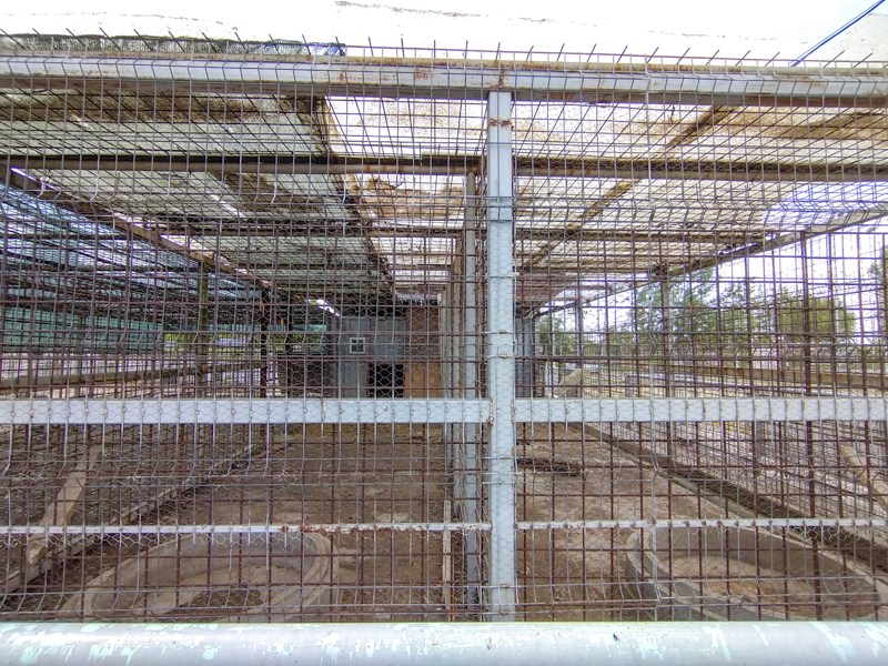 enclosure - former big cats