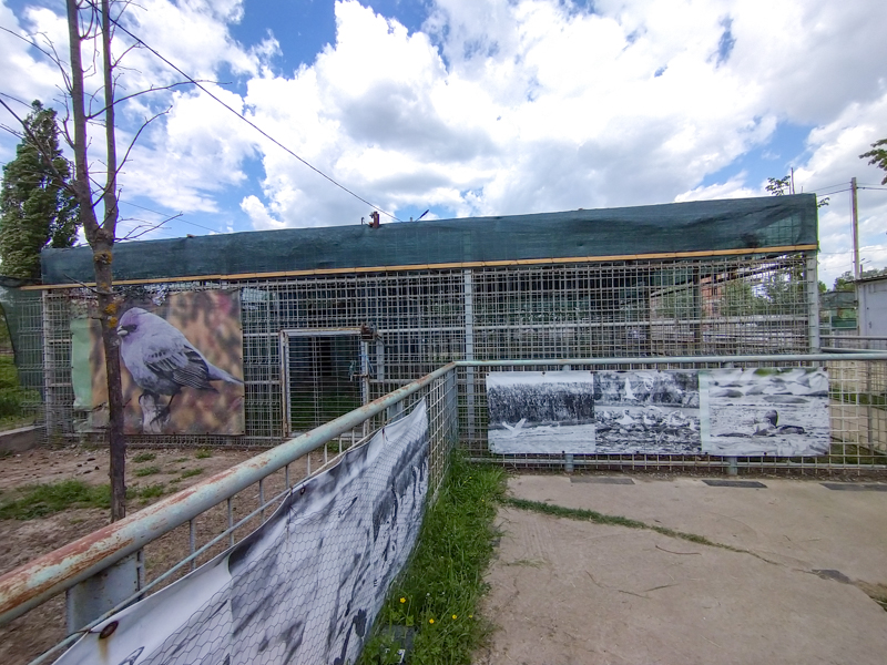 enclosure - former bis cats