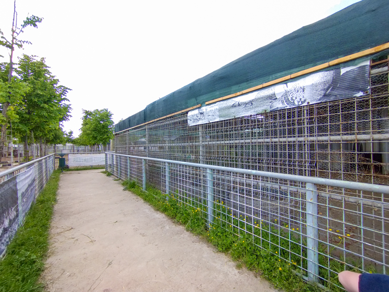 enclosure - former bis cats