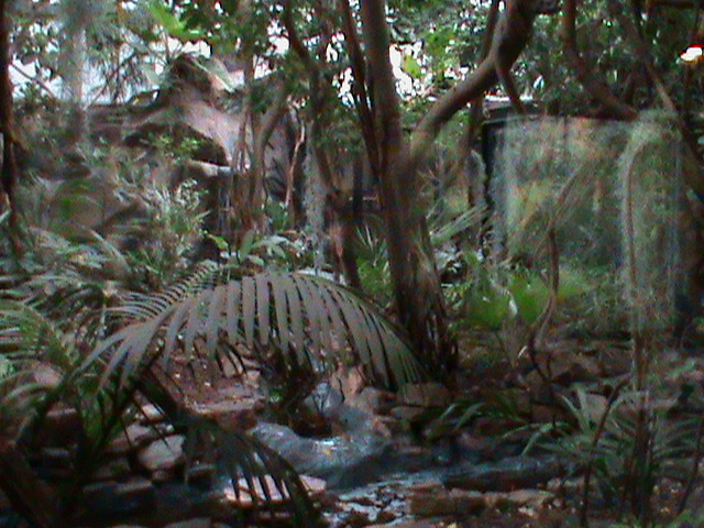 Enclosure from Small Mammal House 061110