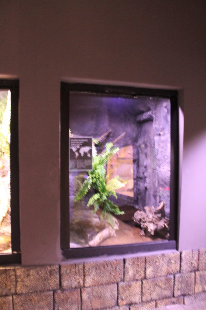 Enclosure Garden boa