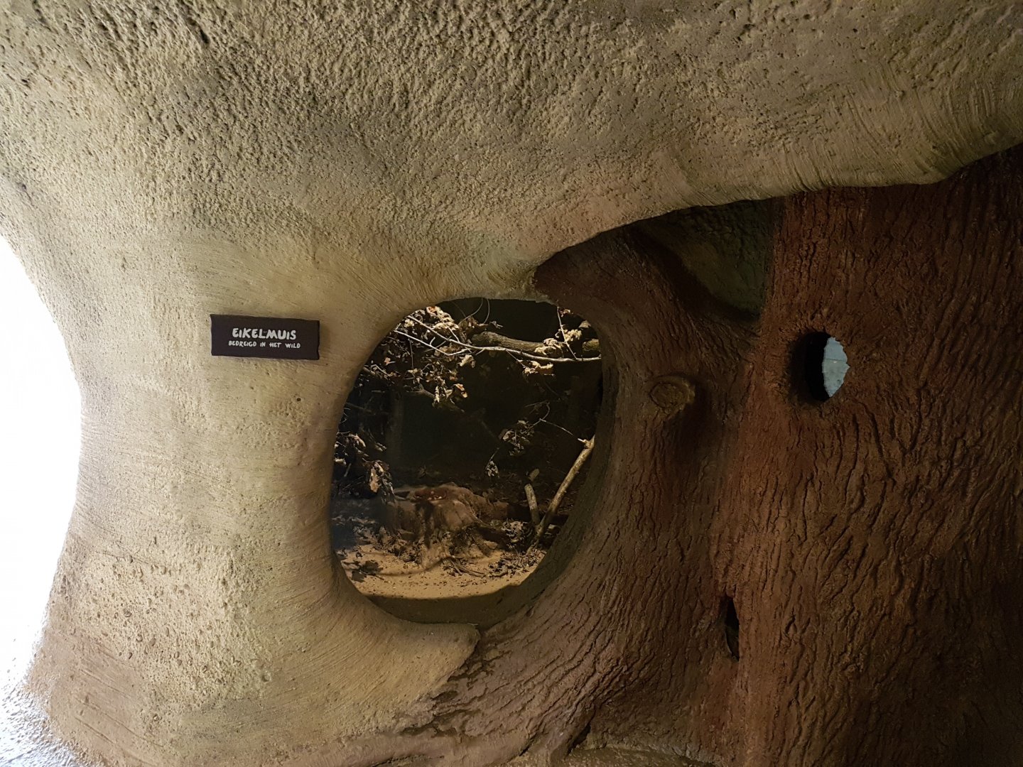 Enclosure Garden dormouse