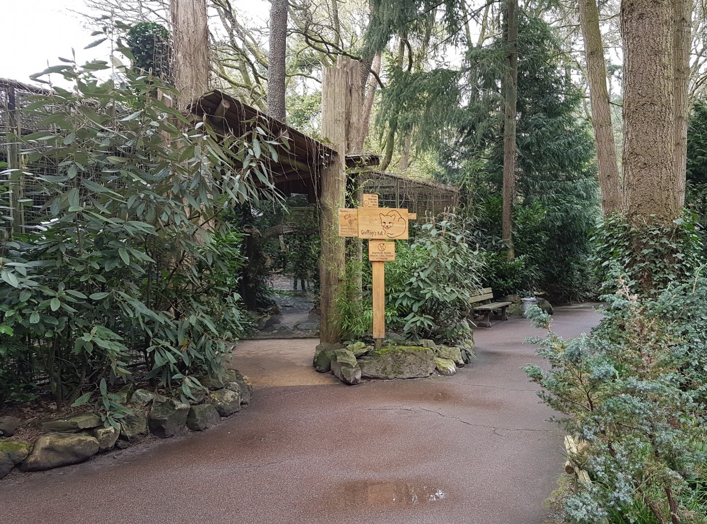 Enclosure Geoffroy's cat