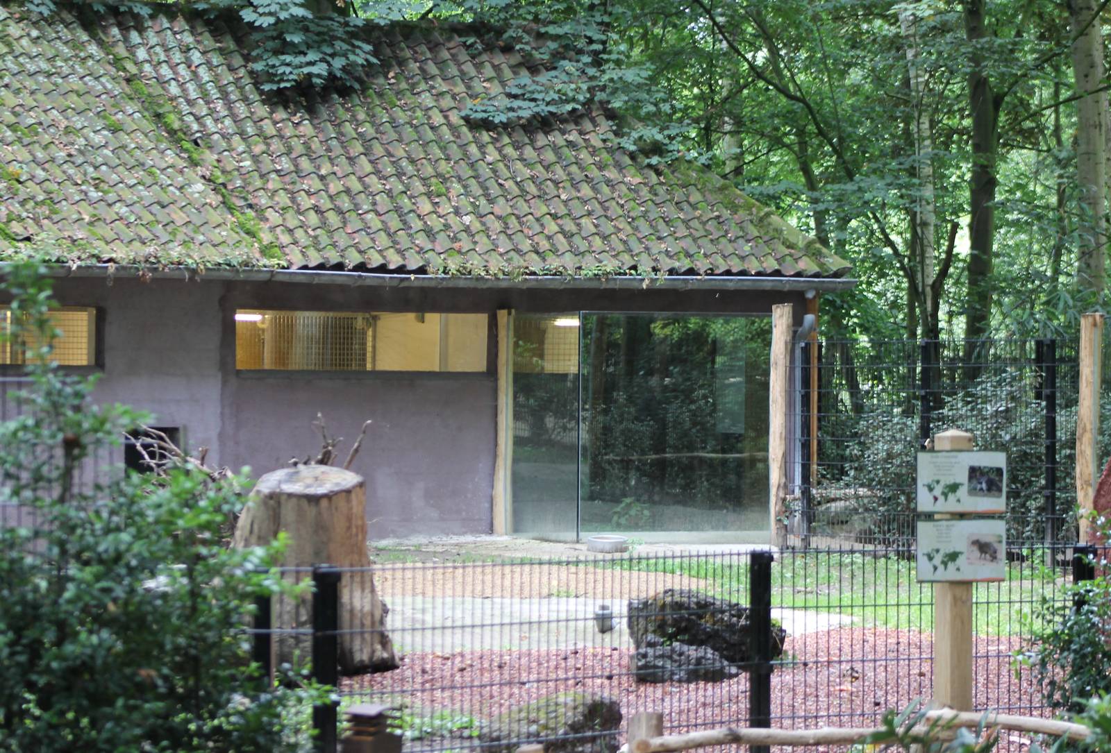 Enclosure Giant anteaters and azara's aguti