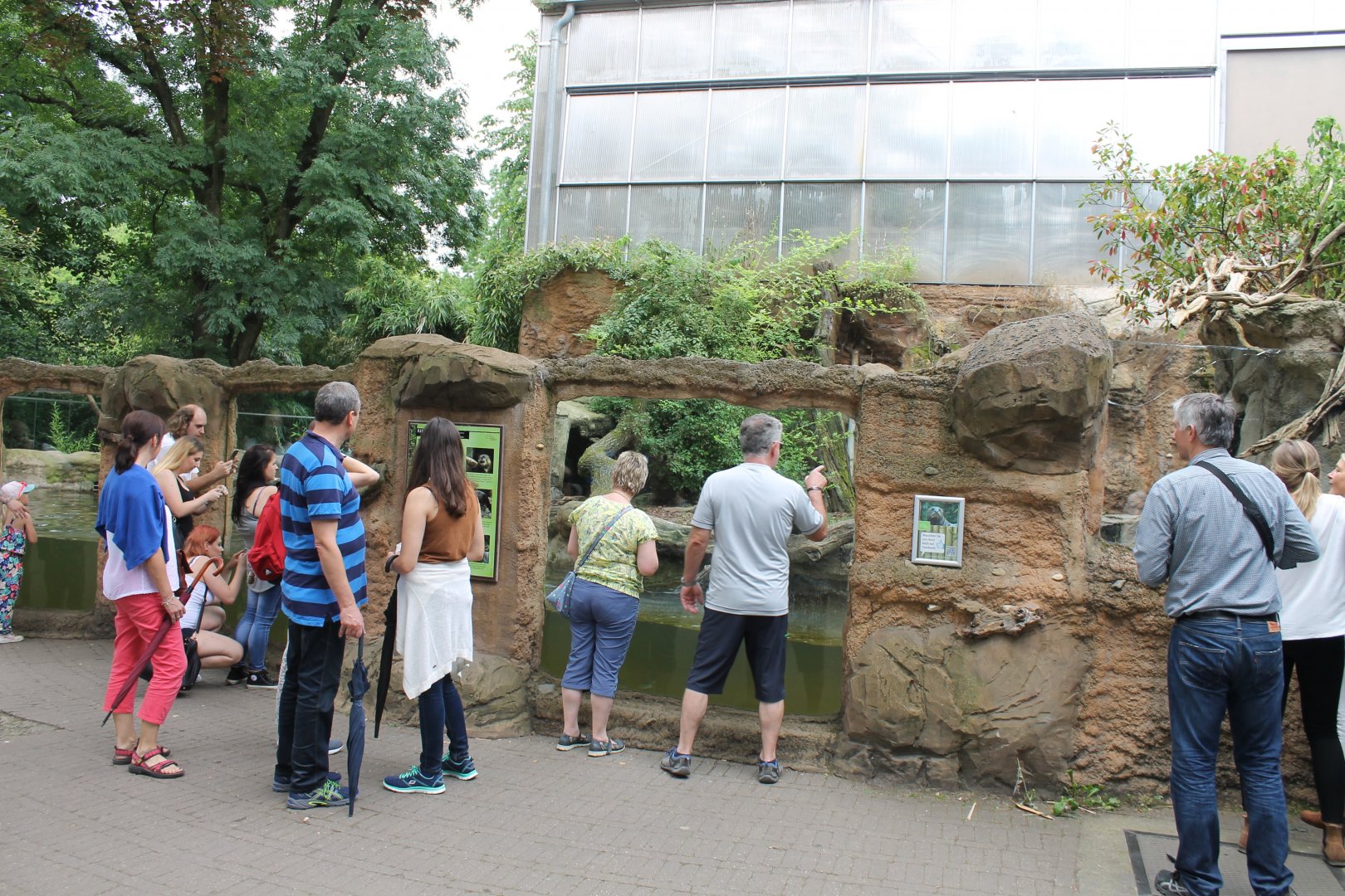 Enclosure Giant otter