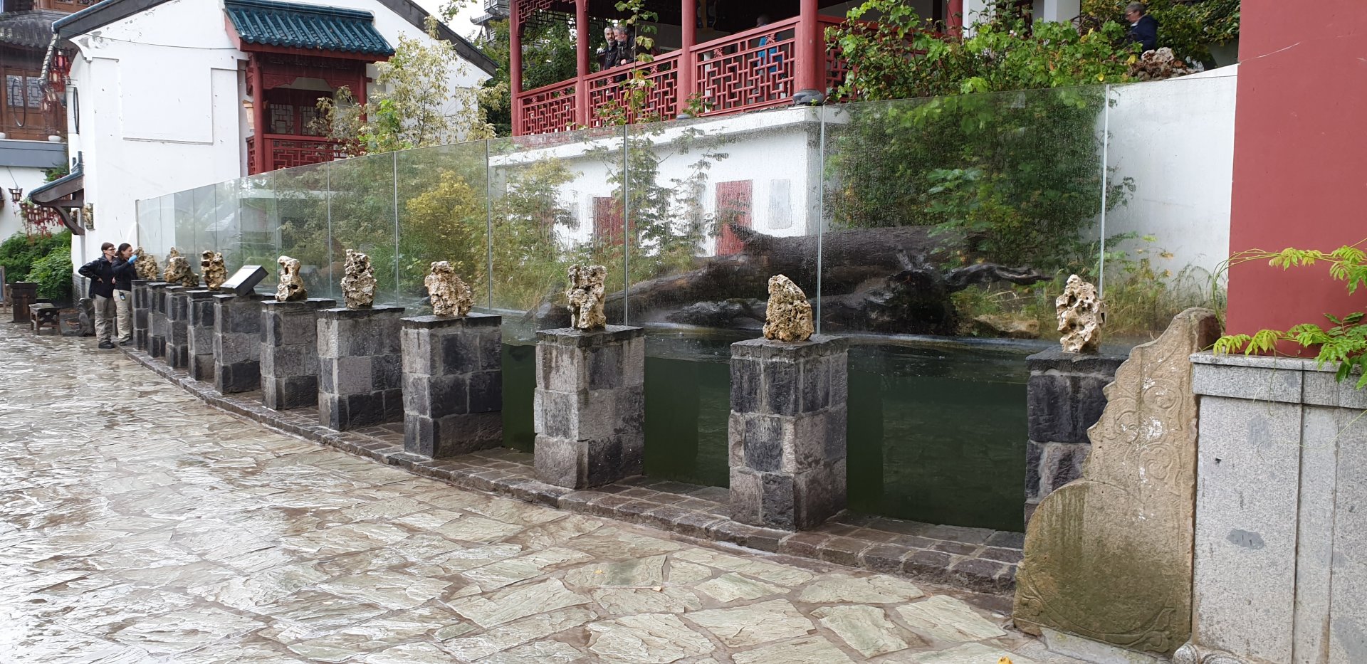 Enclosure Giant otter