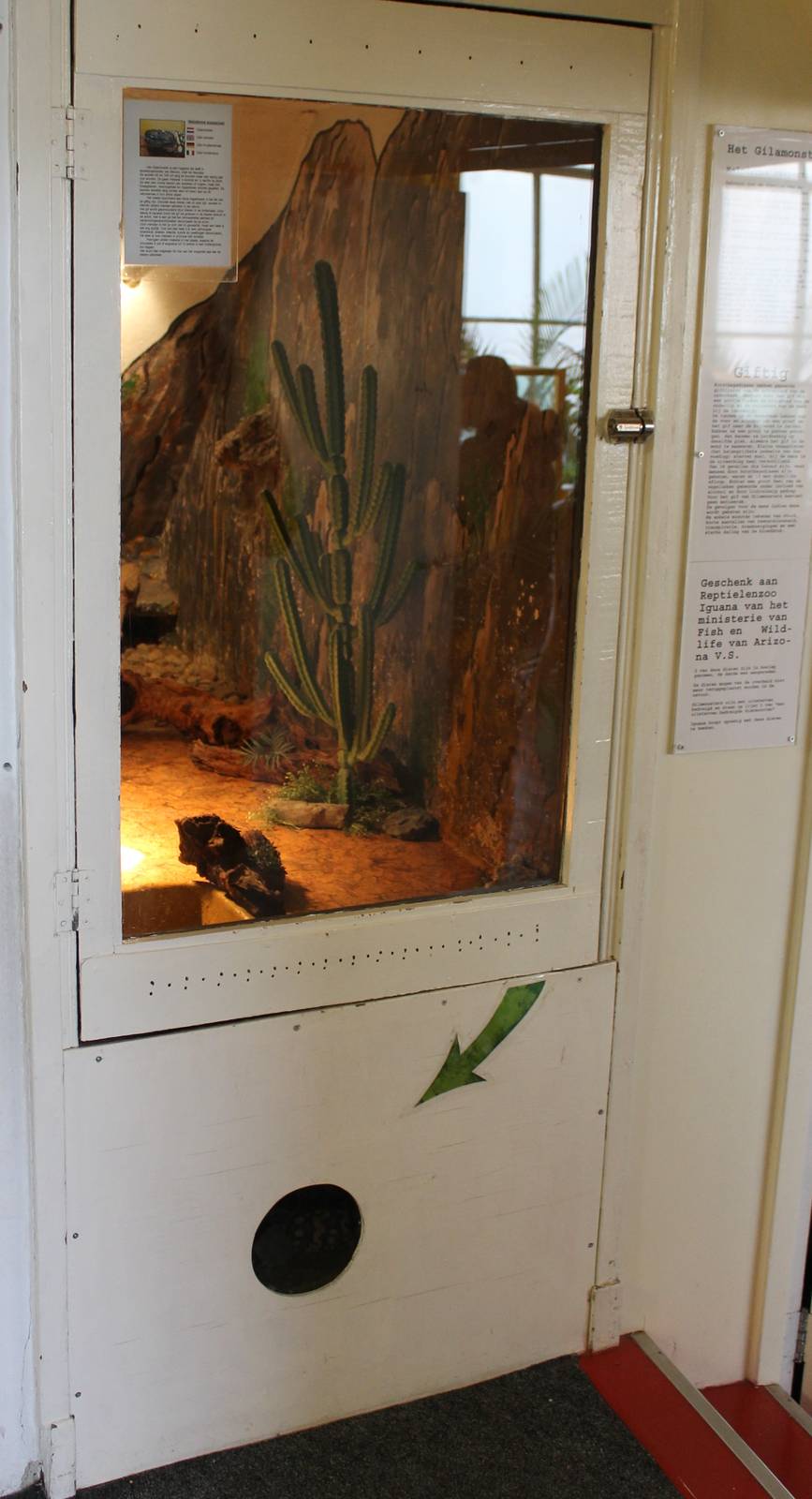 Enclosure Gila monster