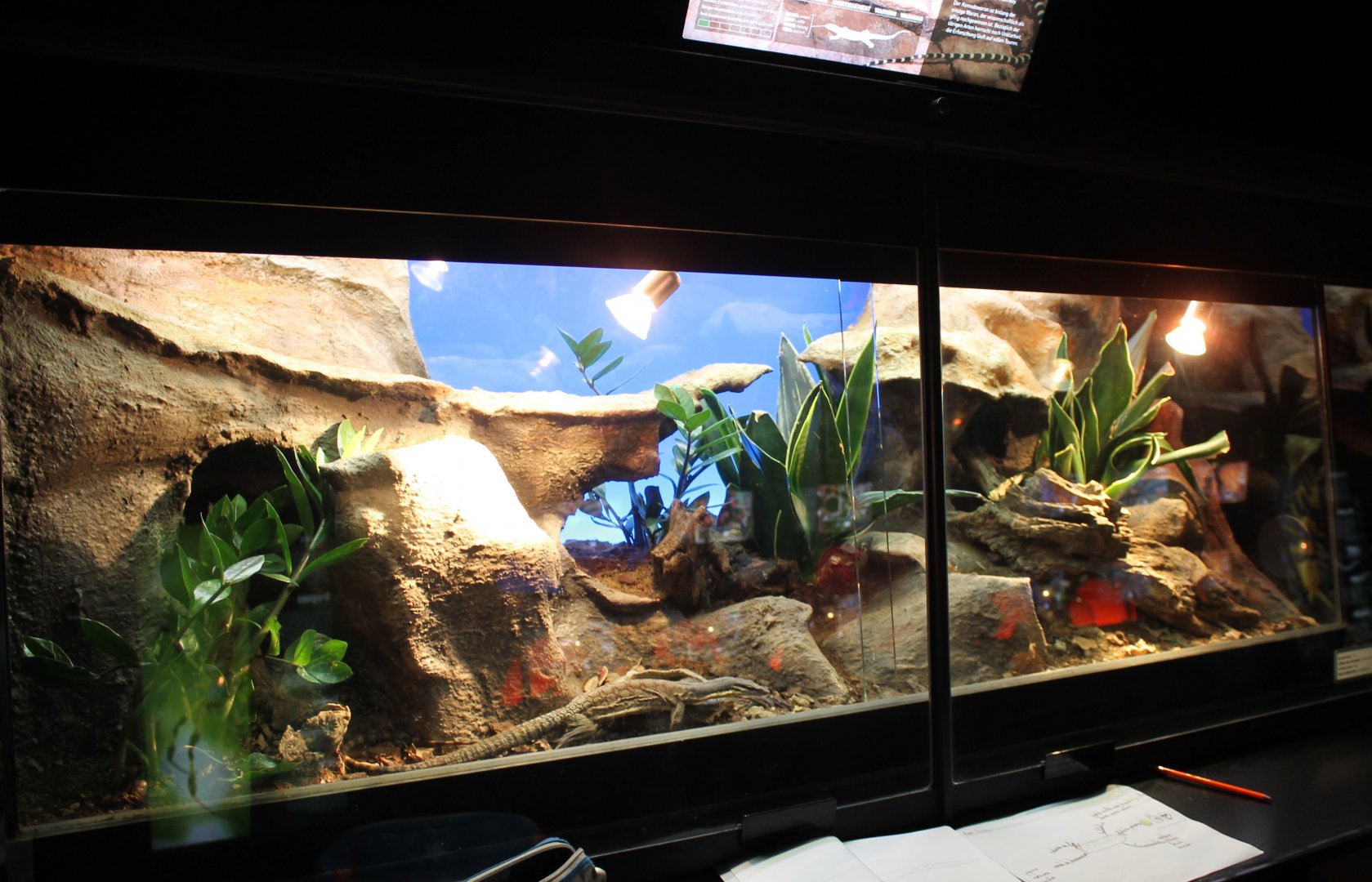 Enclosure Glauert's monitor