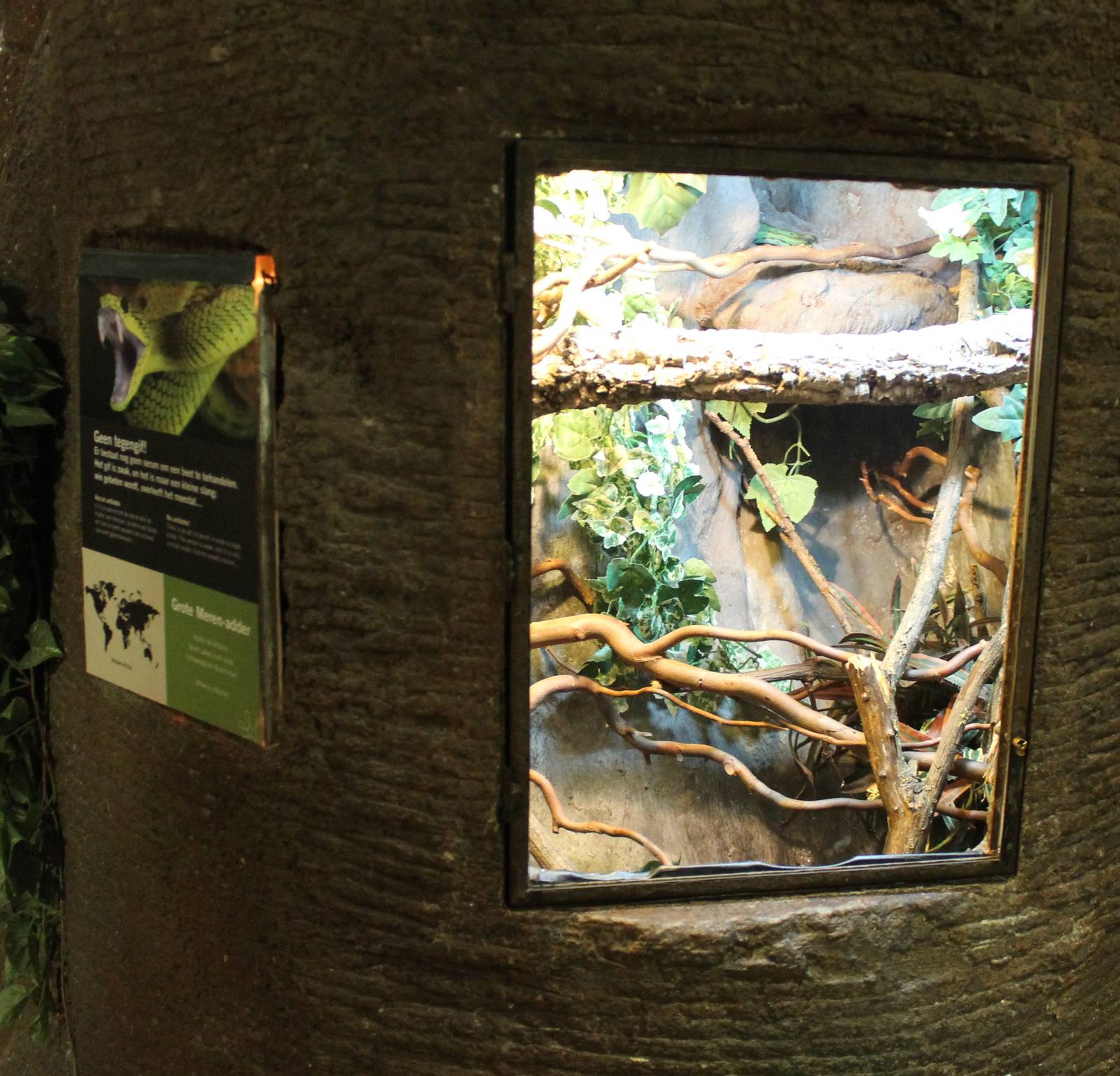 Enclosure Great Lakes bush viper