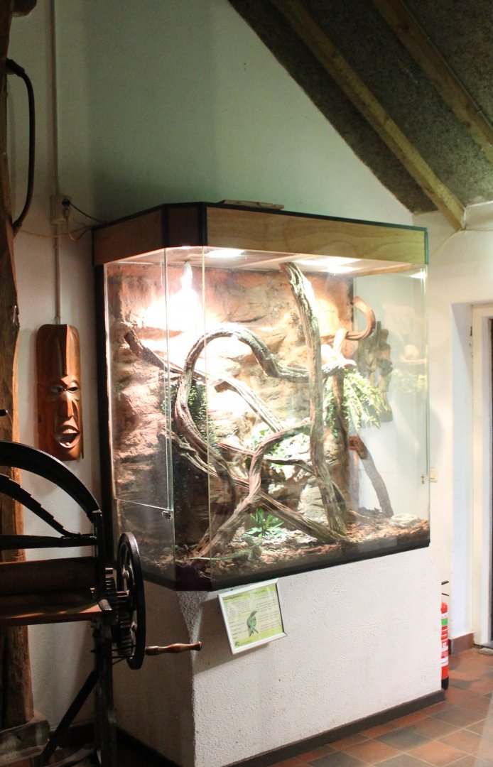 Enclosure Green tree monitor