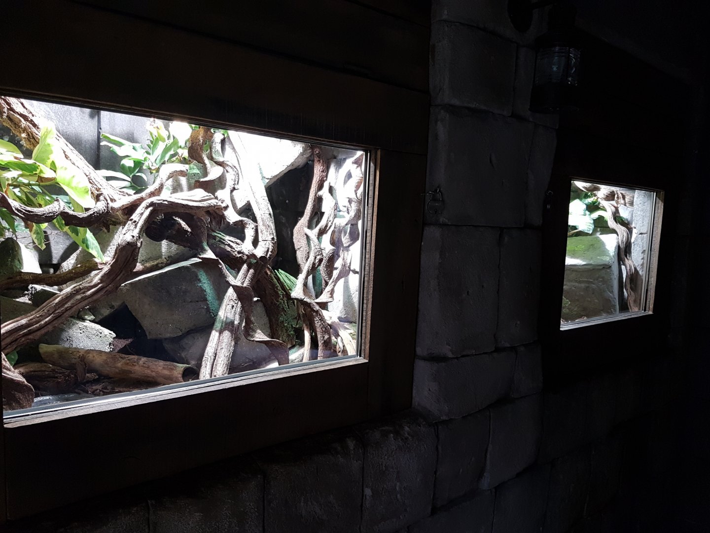 Enclosure Green tree monitor