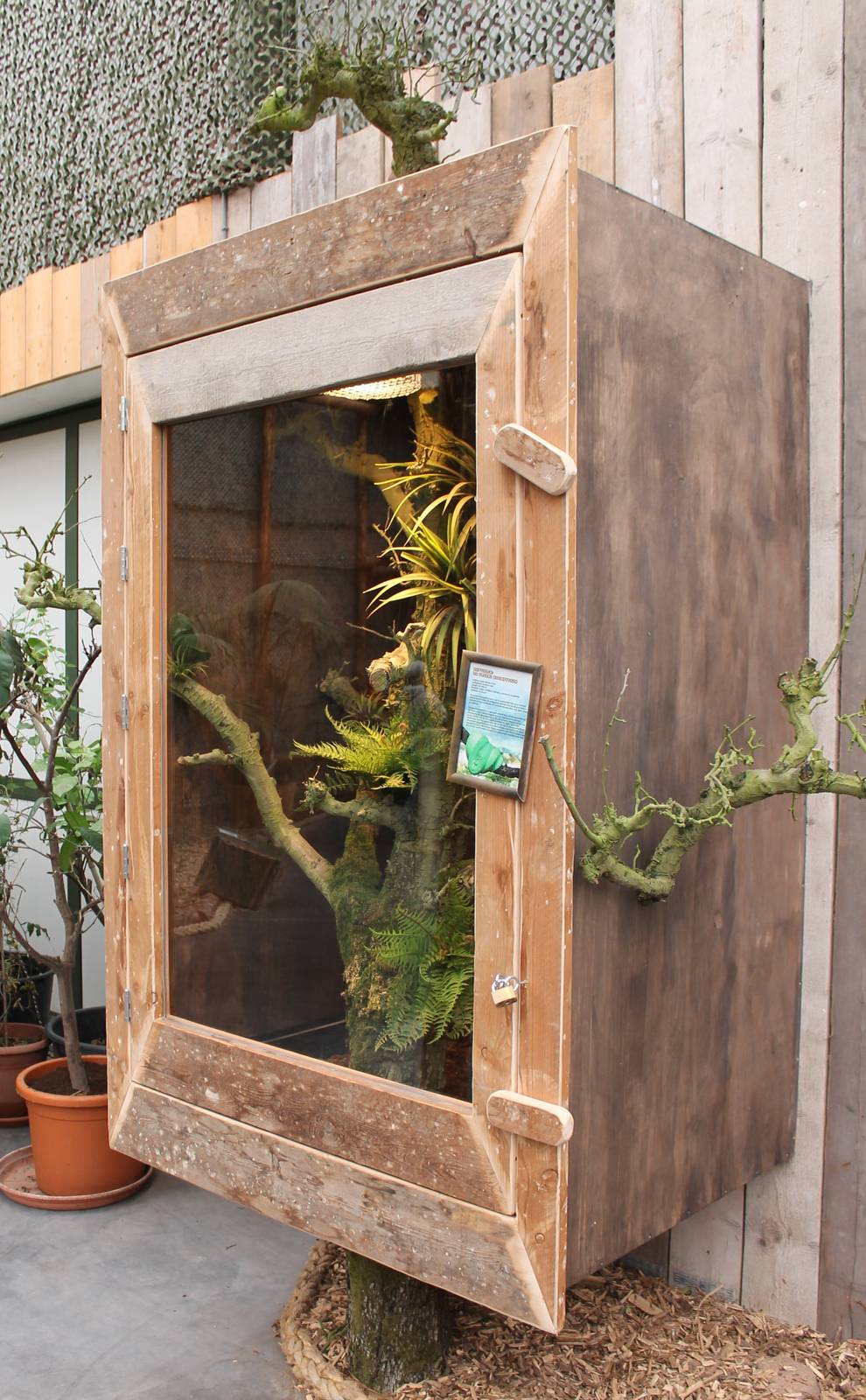 Enclosure Green tree python