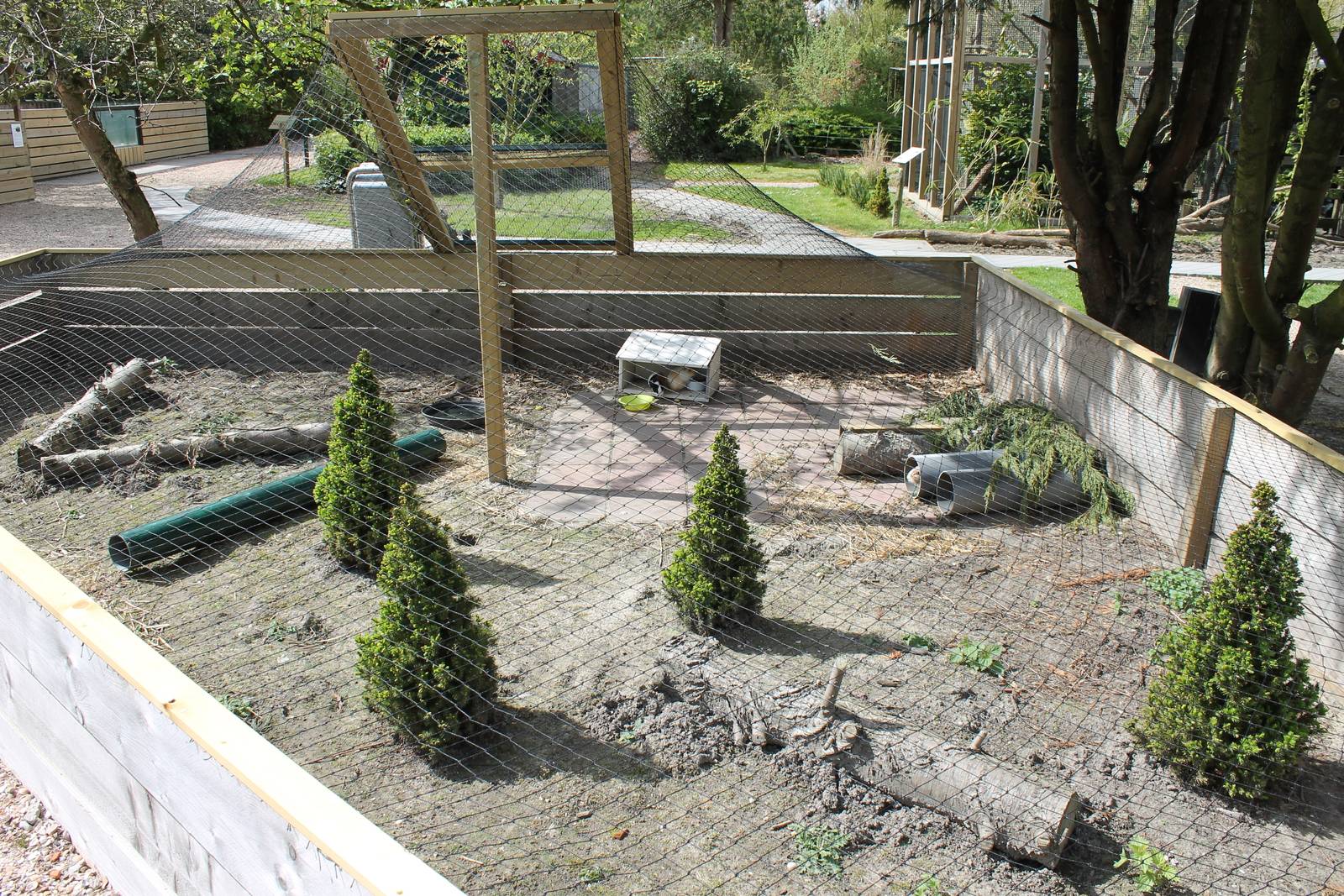 Enclosure Guinea pig