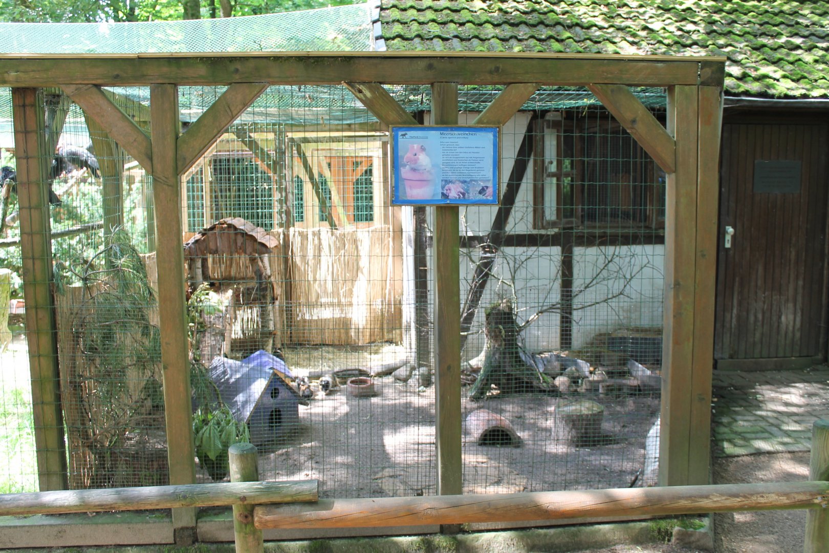 Enclosure Guinea-pig