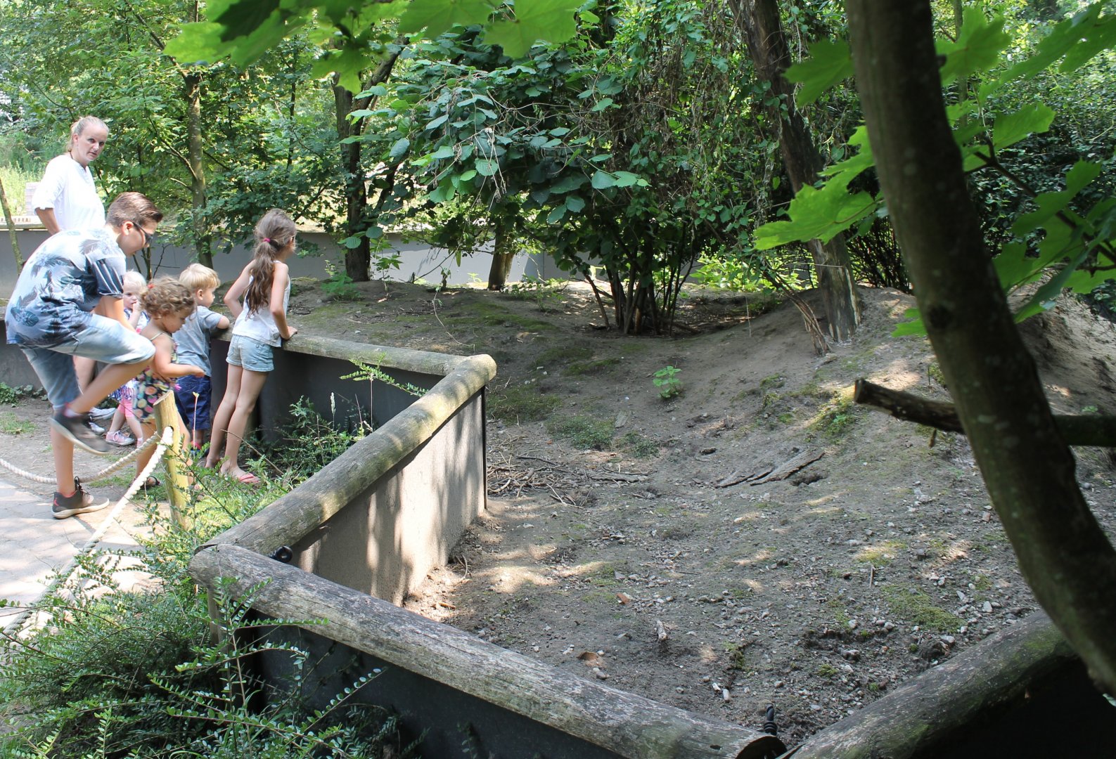Enclosure Guinea-pig