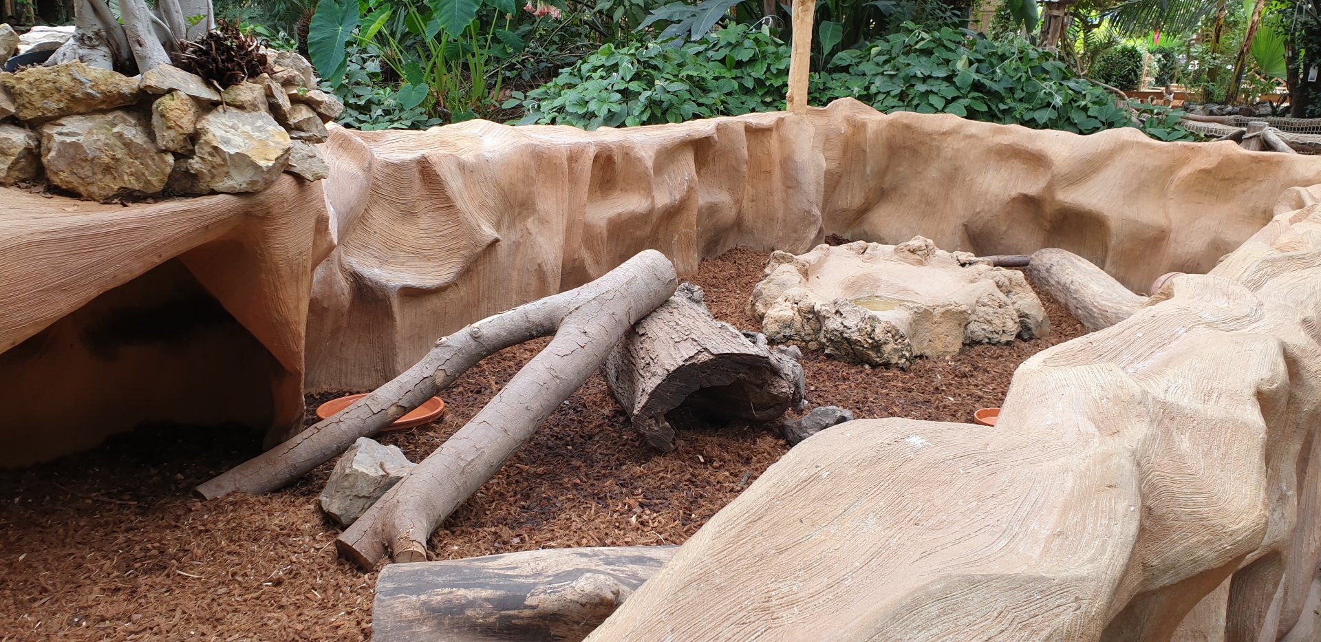 Enclosure Hairy armadillo