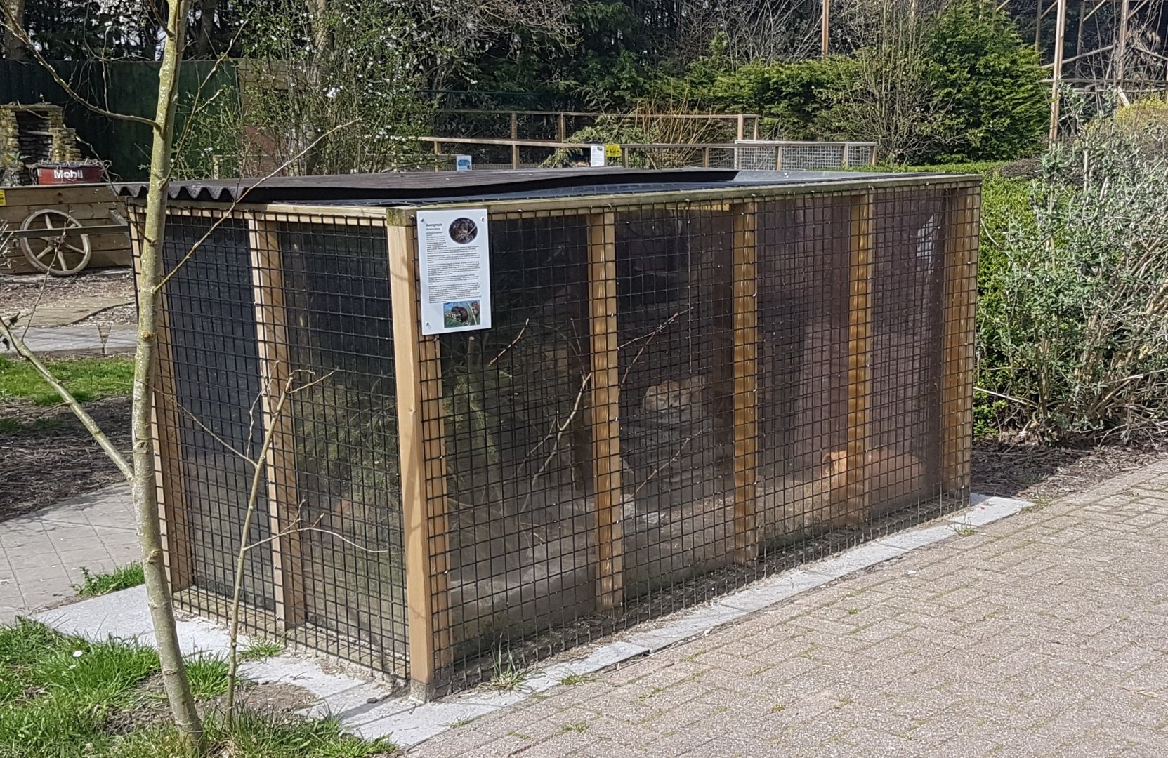 Enclosure Harvest mouse