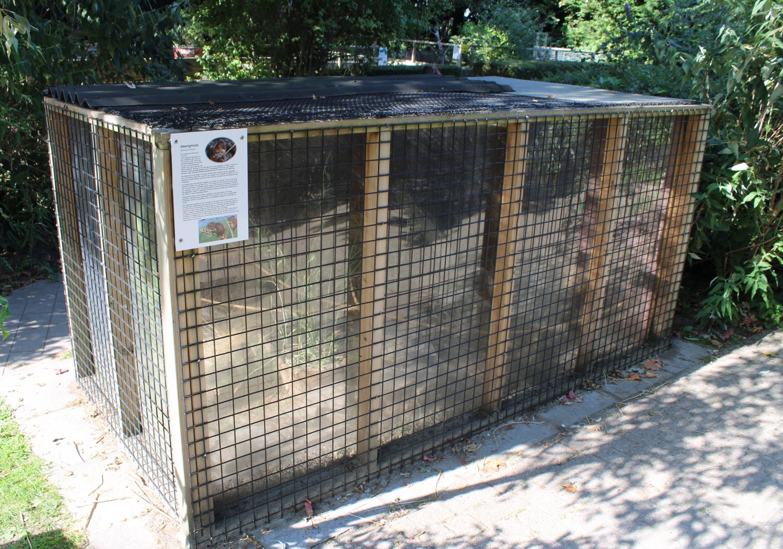 Enclosure Harvest mouse