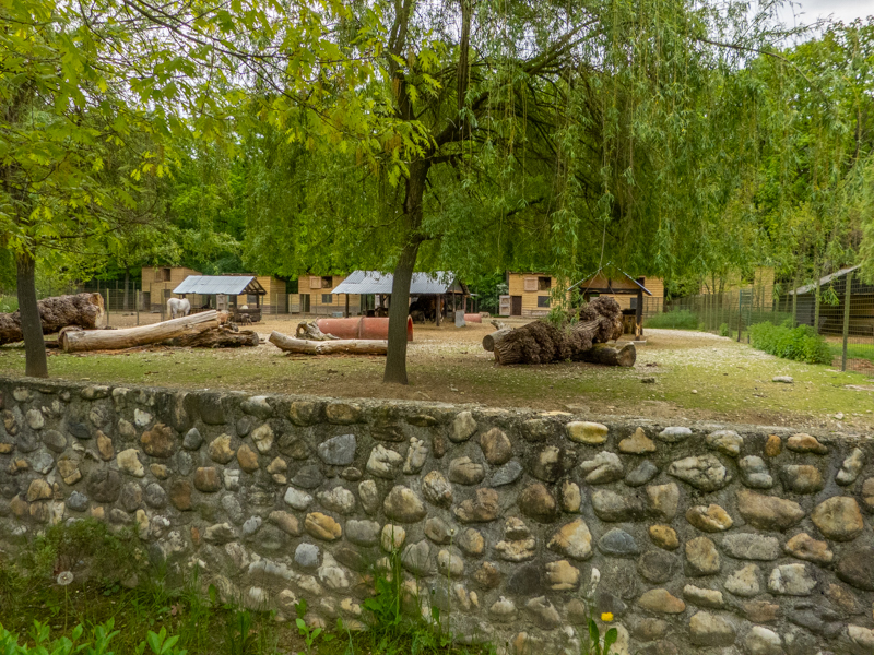 enclosure horse & sheep