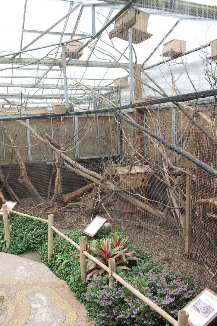 Enclosure Hudson squirrel