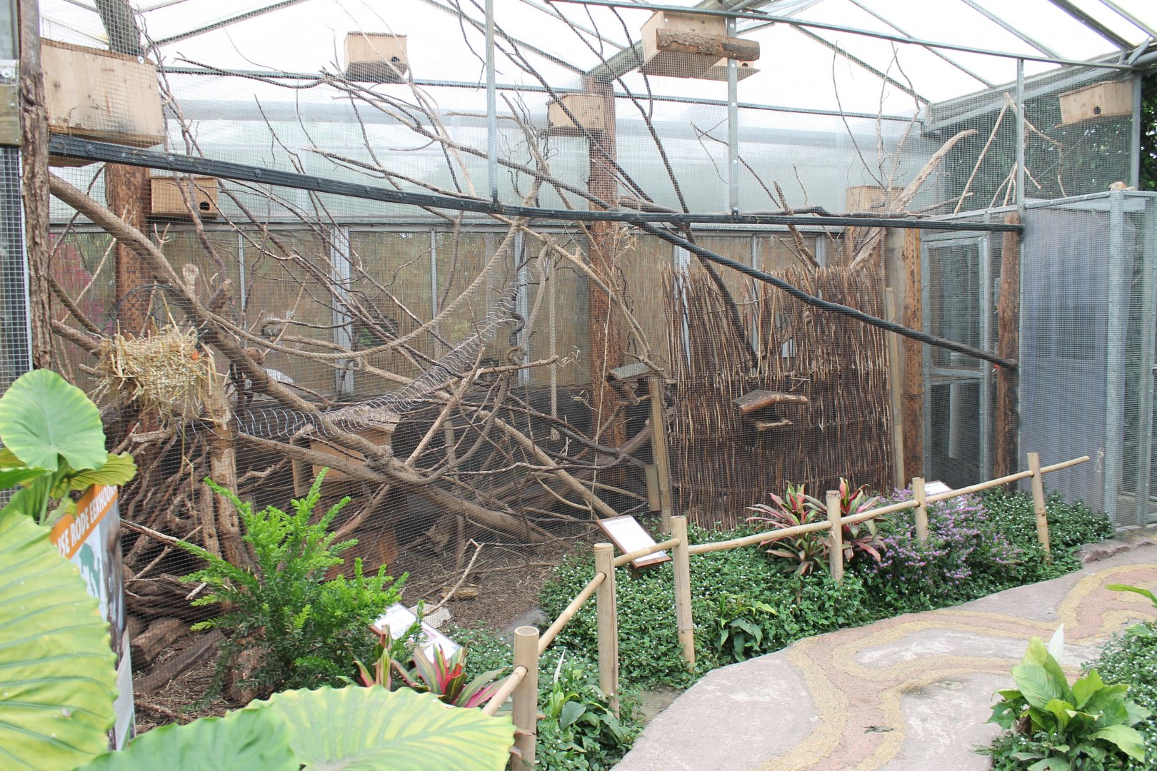 Enclosure Hudson squirrel