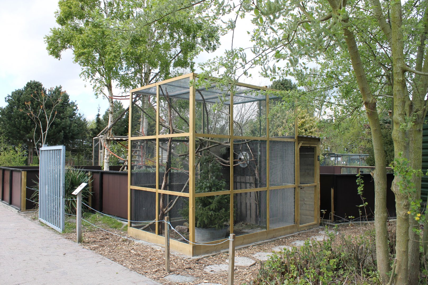 Enclosure Hudson's squirrel