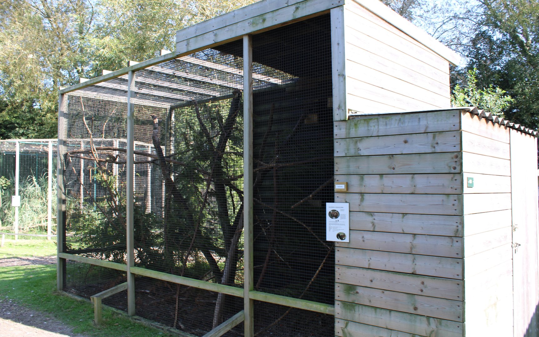 Enclosure Hudson's squirrel