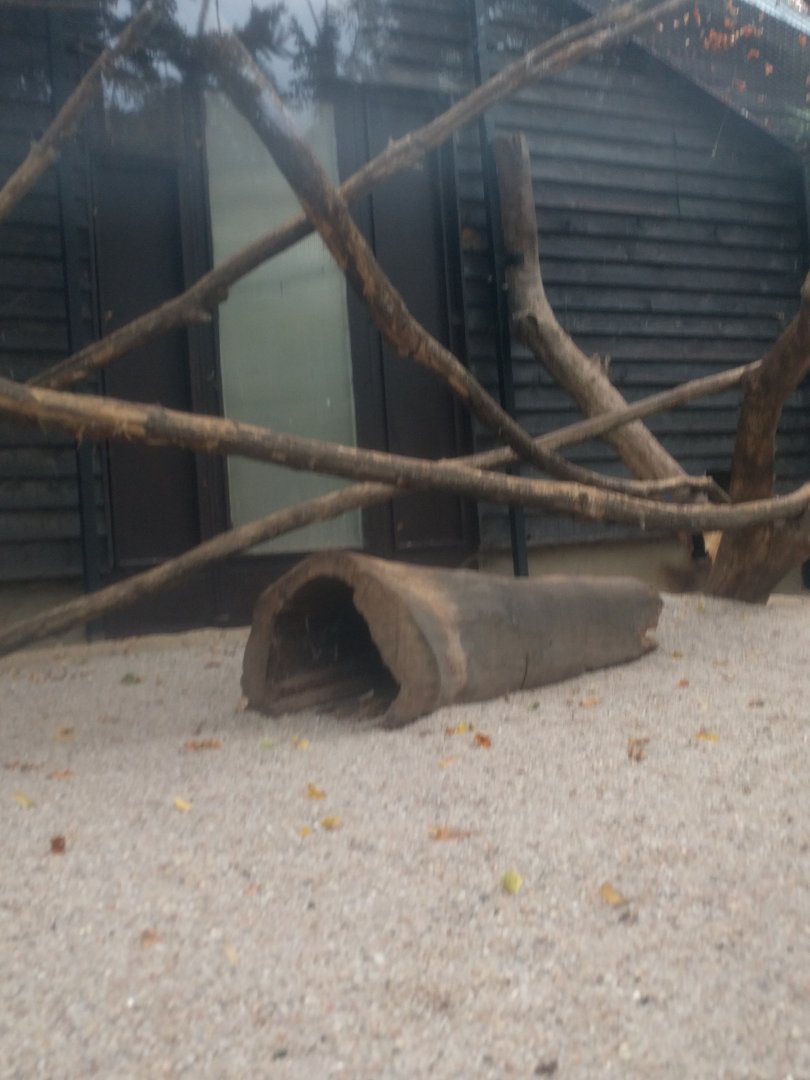 Enclosure ID Zoo Praha 2018