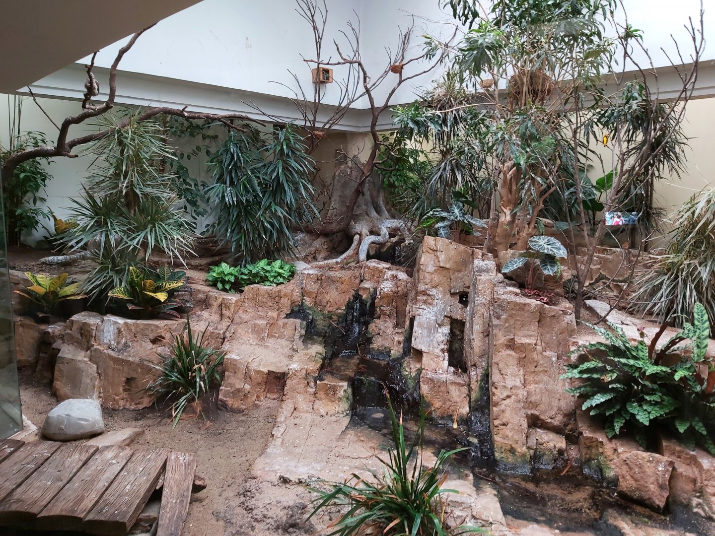 Enclosure in Bird House